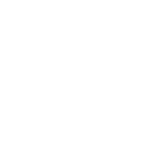 Sparkles and Styles